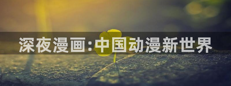 看哔咔漫画太卡怎么办：深夜漫画:中国动漫新世界